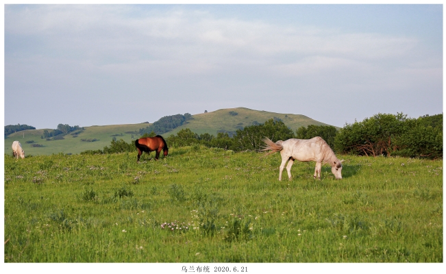 赤峰市最近的草原-第1張圖片