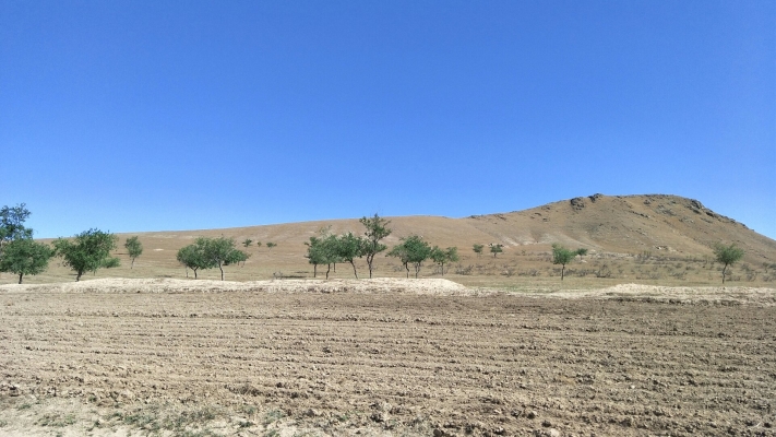 赤峰阿旗阿蘭朵賓館電話號(hào)碼-第1張圖片