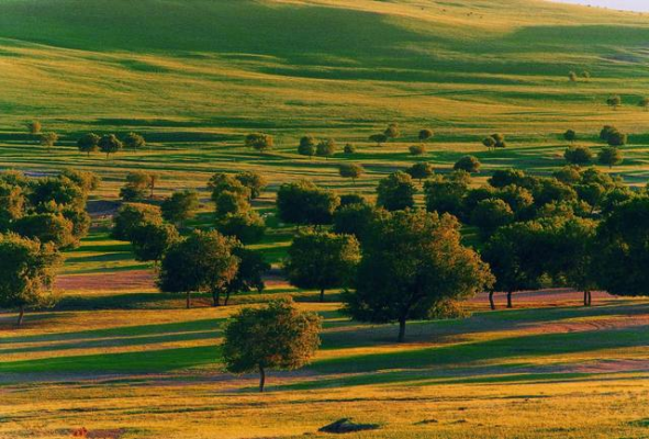 赤峰林西游樂(lè)園電話號(hào)碼-第1張圖片