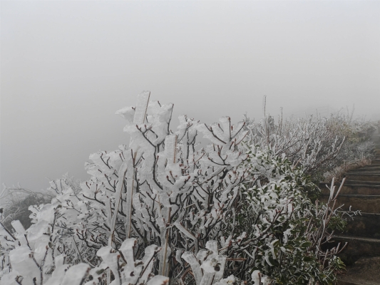 赤峰市春雪掛面廠電話號(hào)碼-第1張圖片