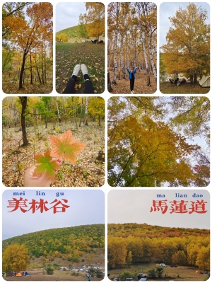 赤峰市美林鎮(zhèn)古山村電話號(hào)碼-第1張圖片