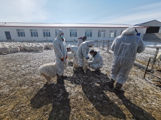 赤峰市勞動(dòng)保障局電話號(hào)碼-第1張圖片