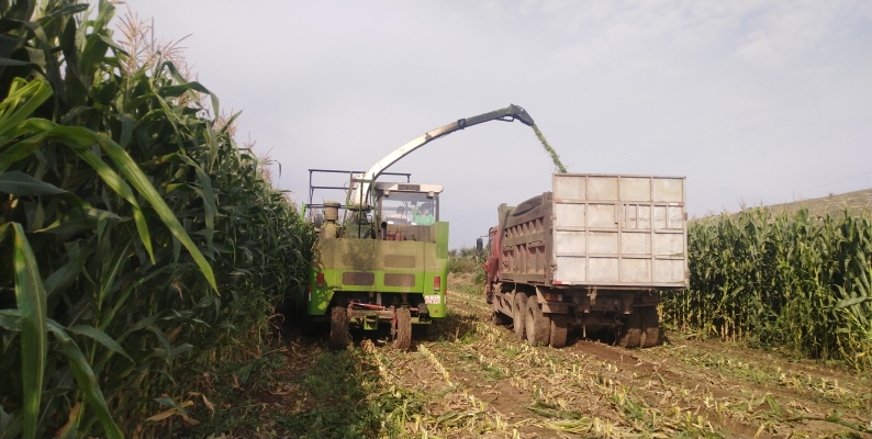 赤峰林西取暖電話號(hào)碼查詢是多少-第1張圖片