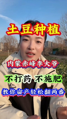 赤峰土豆基地電話多少啊-第1張圖片