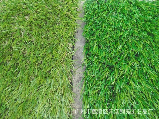 赤峰運(yùn)動(dòng)草皮廠家電話號(hào)碼查詢-第1張圖片