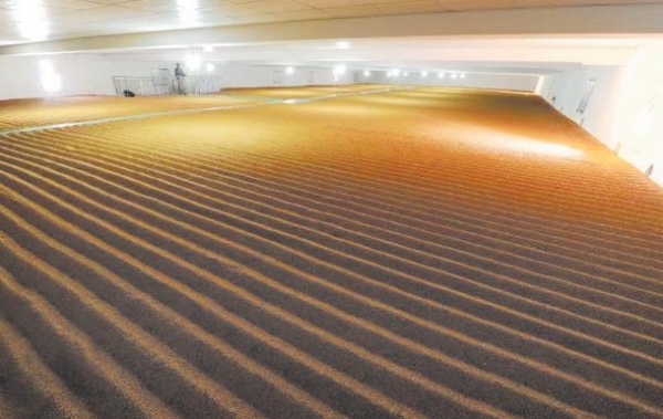 赤峰糧油鮮榨機(jī)廠家電話號碼-第1張圖片