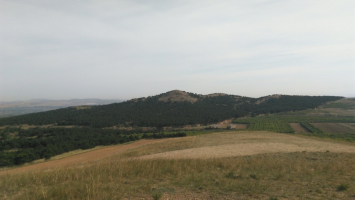 赤峰汐子鎮(zhèn)屬于哪個區(qū)-第1張圖片