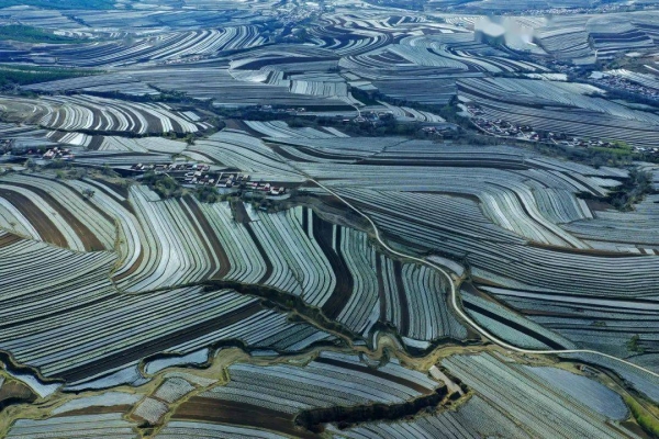 赤峰慧姐理發(fā)店地址電話號(hào)碼-第1張圖片