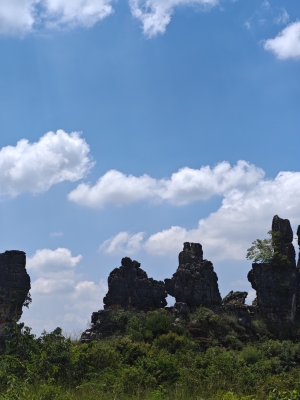 赤峰乃林紅磚廠電話多少號(hào)-第1張圖片