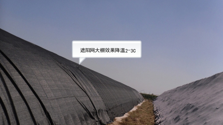 赤峰大棚遮陽(yáng)網(wǎng)廠家電話號(hào)碼-第1張圖片