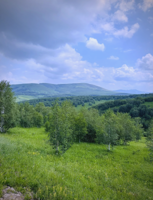 赤峰小峰銷售工作室電話號碼-第1張圖片