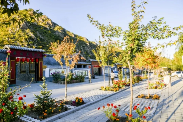 赤峰肉鴨養(yǎng)殖廠家電話號(hào)碼-第1張圖片