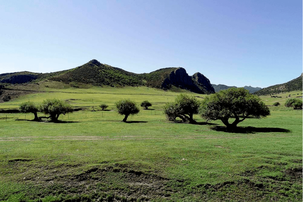 赤峰市林東鎮(zhèn)球館地址電話號(hào)碼-第1張圖片
