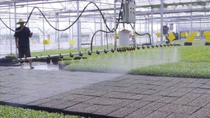 赤峰田圃育苗基地電話地址查詢(xún)-第1張圖片