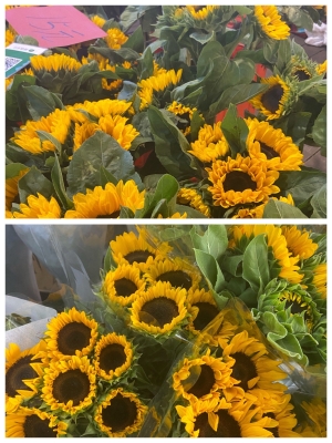 赤峰新天地鮮花批發(fā)電話號(hào)碼-第1張圖片