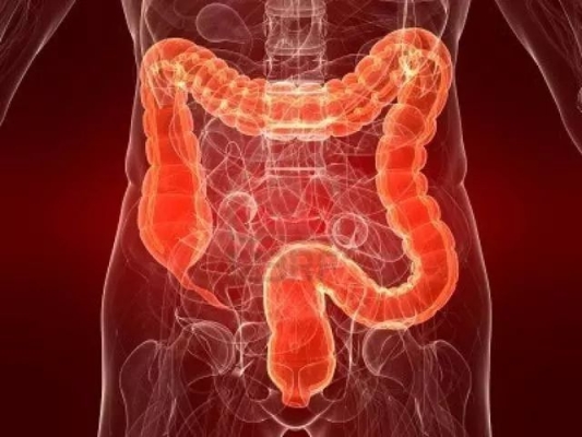 赤峰市脊椎醫(yī)院電話號(hào)碼是多少-第1張圖片