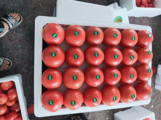 赤峰軍霞超市地址電話號碼-第1張圖片