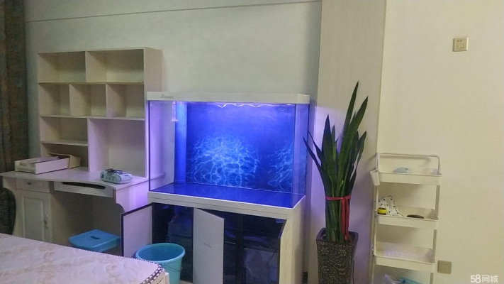 赤峰最大的寵物店電話(huà)號(hào)碼是多少-第1張圖片