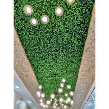 赤峰仿真草皮經(jīng)銷商電話號碼-第1張圖片