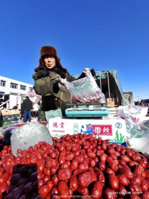 赤峰牛營(yíng)子服務(wù)區(qū)電話號(hào)碼-第1張圖片