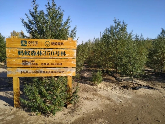 赤峰市敖漢旗扶貧辦電話號(hào)碼-第1張圖片