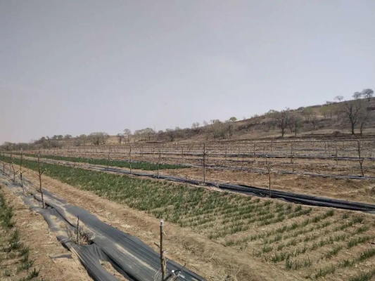 赤峰承包菜園電話號碼查詢是多少-第1張圖片