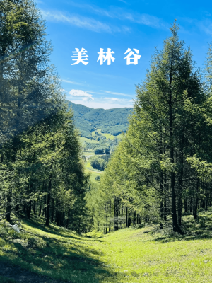 赤峰美林谷滑雪團電話號碼多少-第1張圖片