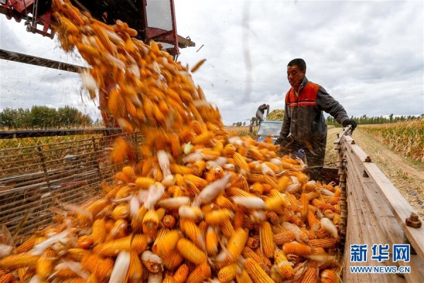 赤峰市敖漢旗連長(zhǎng)山社區(qū)電話(huà)號(hào)碼-第1張圖片