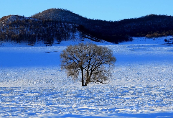 赤峰市錫伯河冬泳館電話號碼-第1張圖片