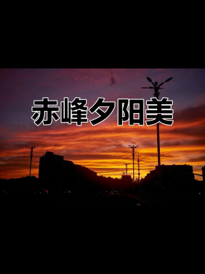 赤峰乾恒煤炭招聘電話號(hào)碼查詢-第1張圖片