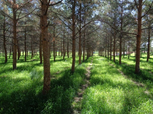赤峰橋北雜技團(tuán)電話地址查詢-第1張圖片