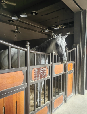 赤峰市區(qū)恐龍公園電話多少號-第1張圖片