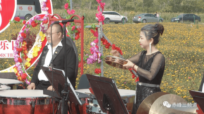 赤峰寧城車?yán)遄硬烧獔@電話號(hào)碼-第1張圖片