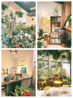 赤峰植物園書屋電話多少號(hào)-第1張圖片