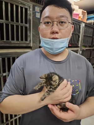 赤峰寵物病狗救助站電話號碼-第1張圖片