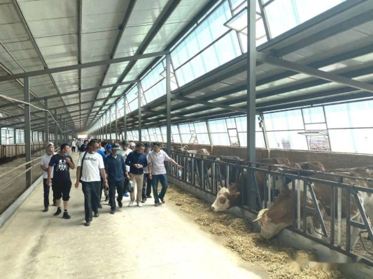 赤峰恒都食品電話(huà)多少啊-第1張圖片