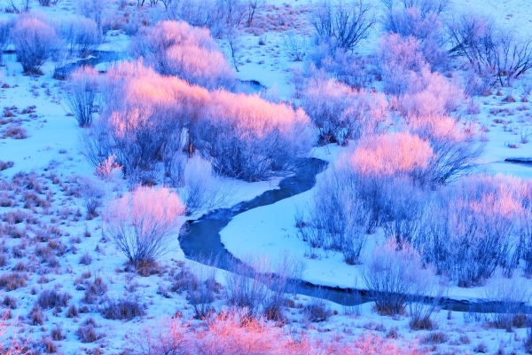 赤峰市大成駕校電話多少號(hào)-第1張圖片
