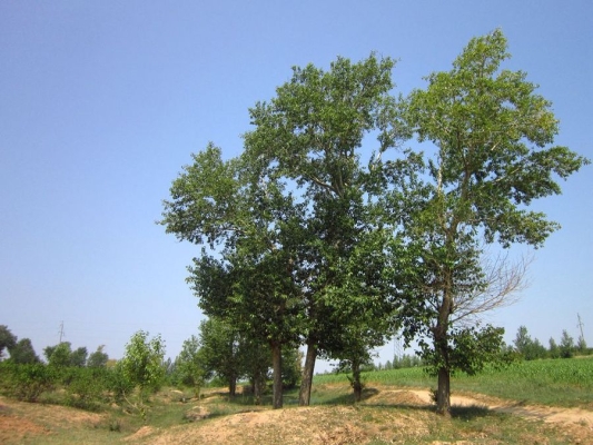 赤峰三西街眼鏡店電話號(hào)碼-第1張圖片