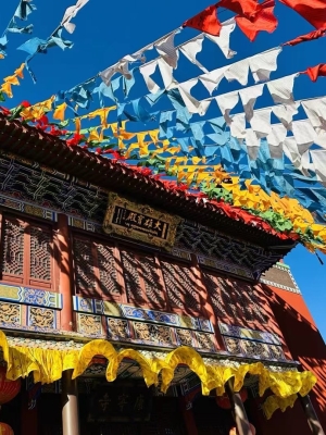 赤峰玄學協(xié)會官網(wǎng)電話號碼查詢-第1張圖片