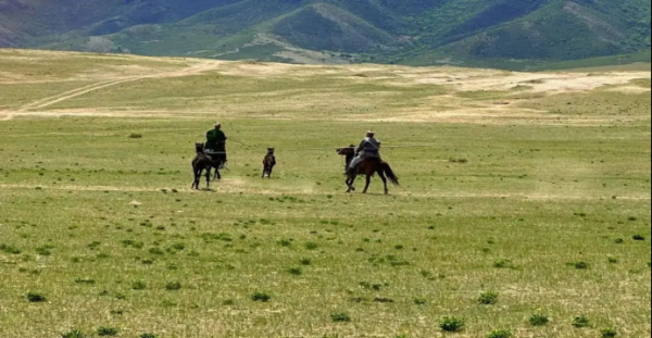 赤峰巨匯網(wǎng)吧電話多少號碼-第1張圖片
