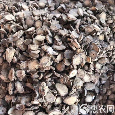 赤峰牛膝批發(fā)電話多少啊-第1張圖片