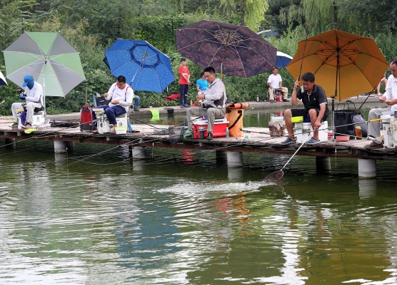 赤峰釣魚(yú)臺(tái)辣嘴鴨電話地址-第1張圖片