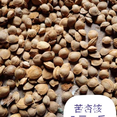 赤峰杏核收購(gòu)點(diǎn)聯(lián)系電話(huà)號(hào)碼-第1張圖片