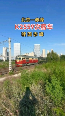 赤峰去大板大客車電話號碼是多少-第1張圖片