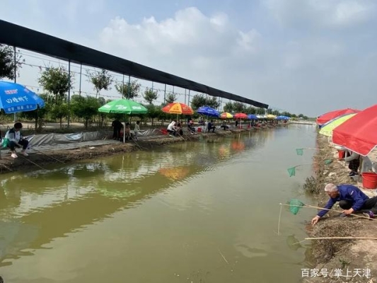 赤峰冬釣垂釣園電話號(hào)碼查詢(xún)-第1張圖片