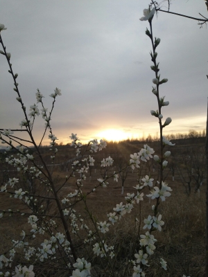 赤峰平莊張國洪診所電話號碼-第1張圖片