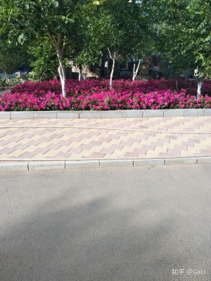 赤峰市紅旗車(chē)隊(duì)地址電話號(hào)碼-第1張圖片