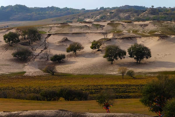 赤峰樹(shù)云農(nóng)家院地址電話號(hào)碼-第1張圖片