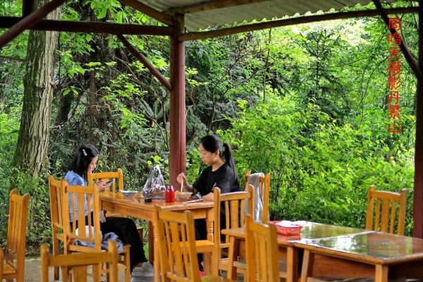 赤峰景山杜鵑花基地電話號(hào)碼-第1張圖片