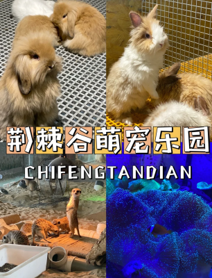 赤峰花卉養(yǎng)殖基地-第1張圖片